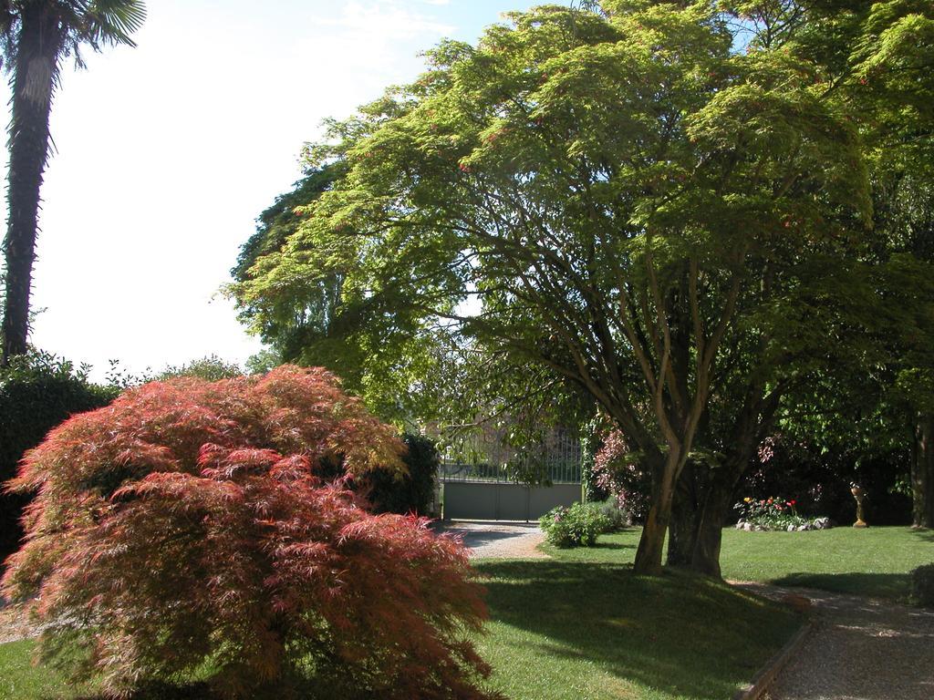 Villa D'Azeglio Albiano dʼIvrea Exterior foto